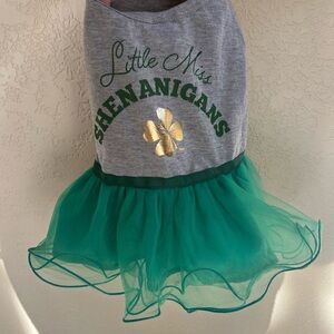 Dog dress/ Little Miss Shenanigans Gray and Green Dress